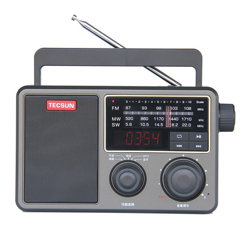 德生（Tecsun） RP-307便攜DSP數(shù)字解調(diào)老人收音機(jī)藍(lán)牙音箱U盤TF卡播放充電數(shù)碼播放器 標(biāo)配