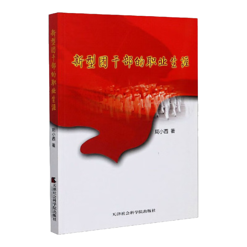 新型团干部的职业生涯