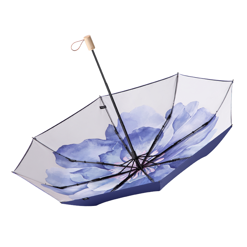 蕉下品牌雨具-价格走势与销量趋势分析
