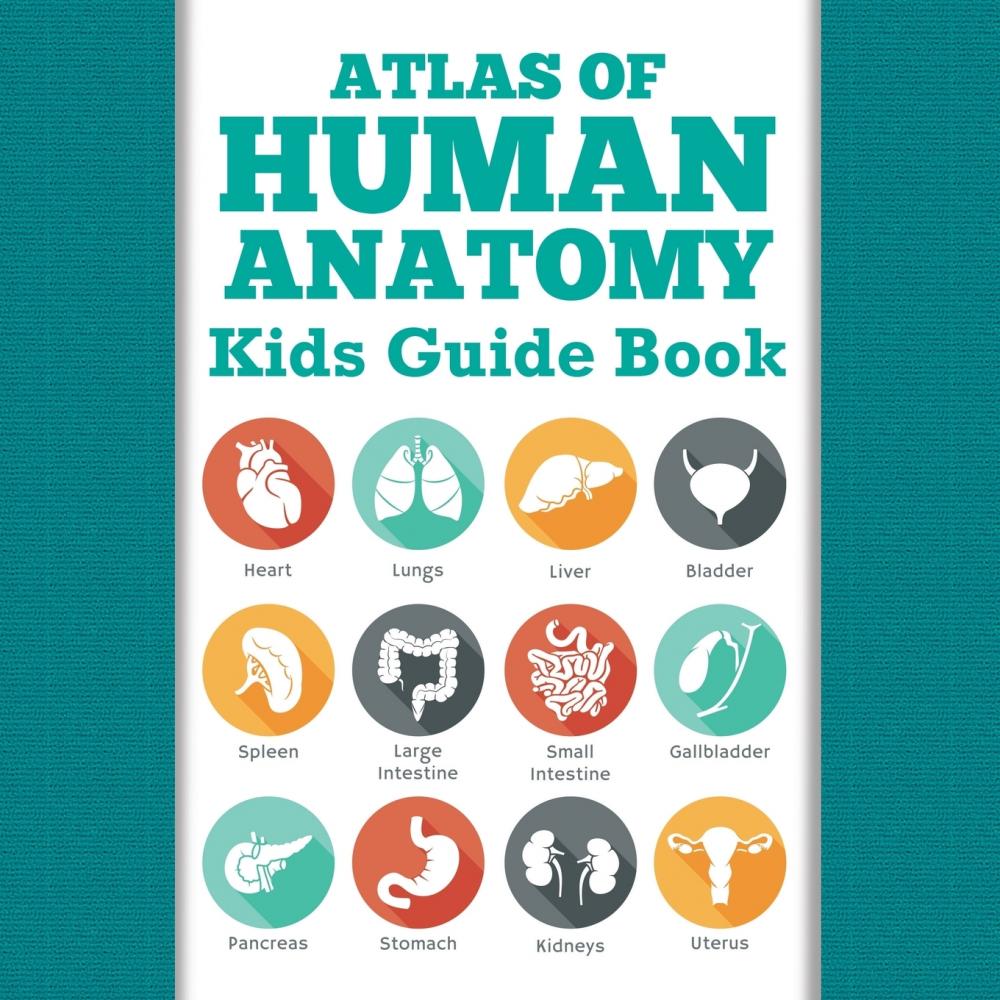 预售 按需印刷 atlas of human anatomy