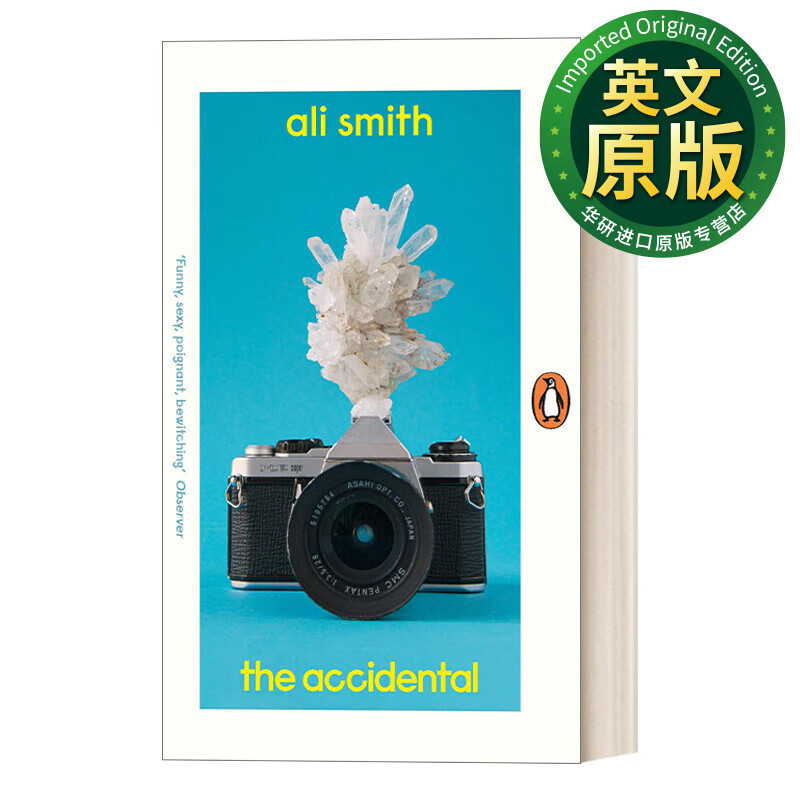 the accidental 英文原版小说 迷 阿莉?