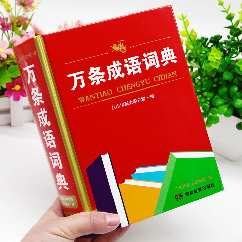 大全小学生初中多功能工具书籍四字词语词典成语字典 【32开大本】万条成语词典