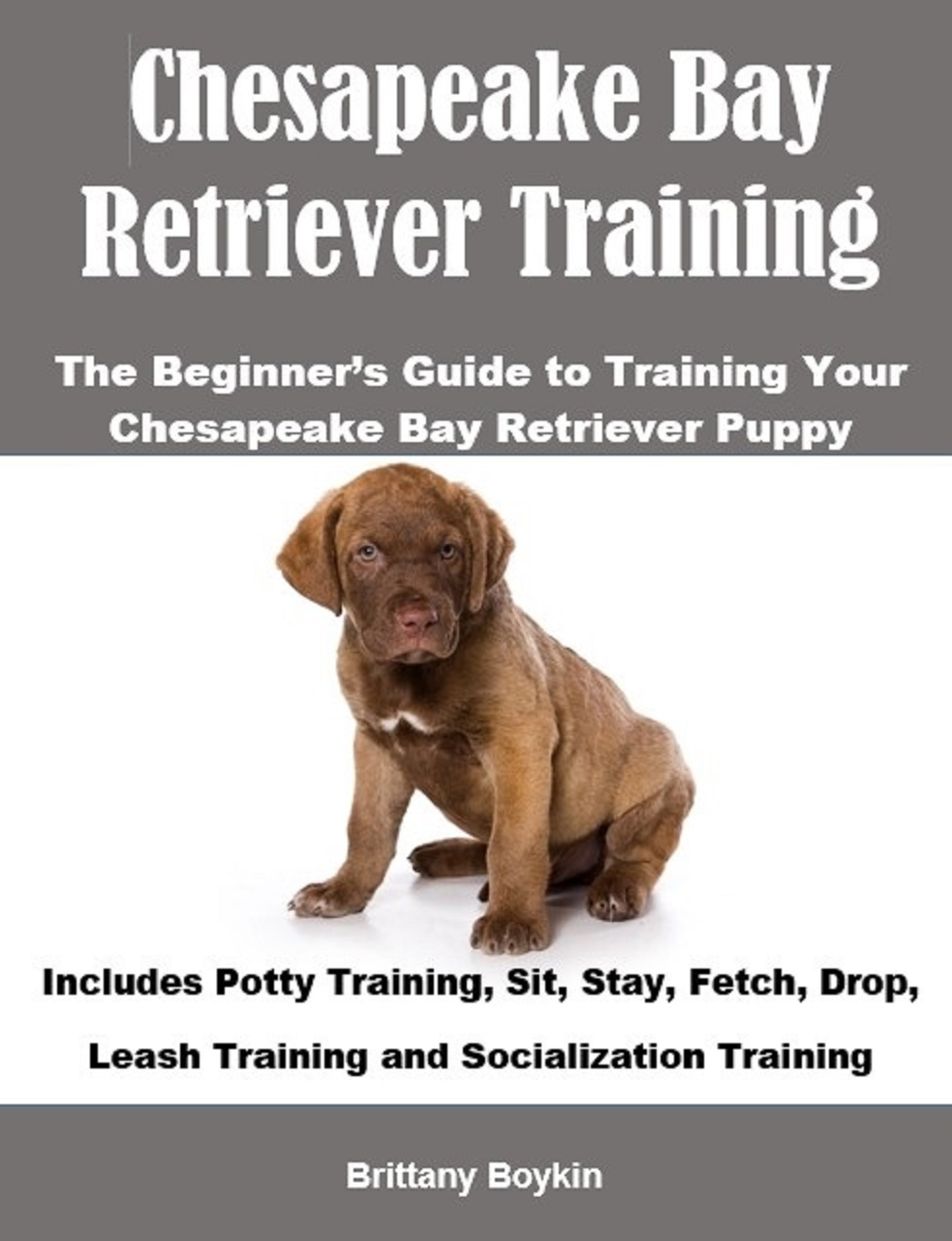 chesapeake bay retriever training: the beginners guide to