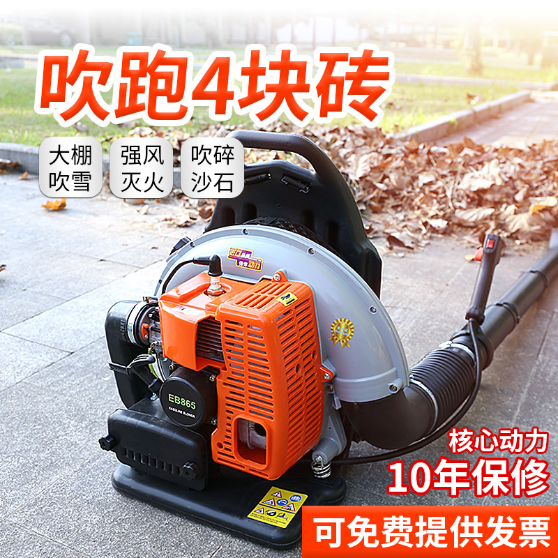 GARDEN HELPERS 背负大功率汽油吹风机风力灭火大棚吹雪工业公铁路庭院砂石落叶 二冲程EB865进口豪华款属于什么档次？
