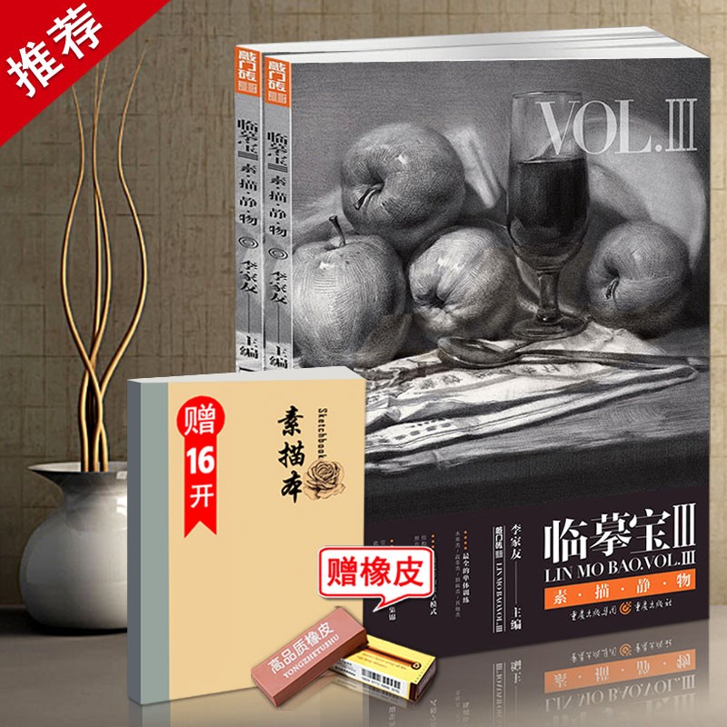 【现货速发】临摹宝3素描静物 敲门砖李家友编单体组合图文讲解结构素描明暗素描画面透视
