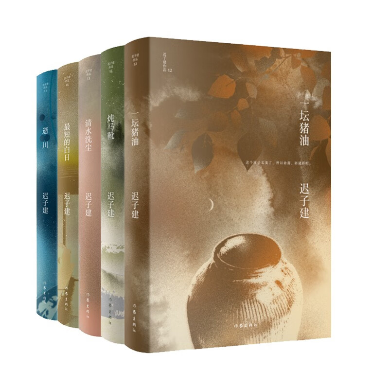 迟子建小说自选集（套装共5册）高性价比高么？