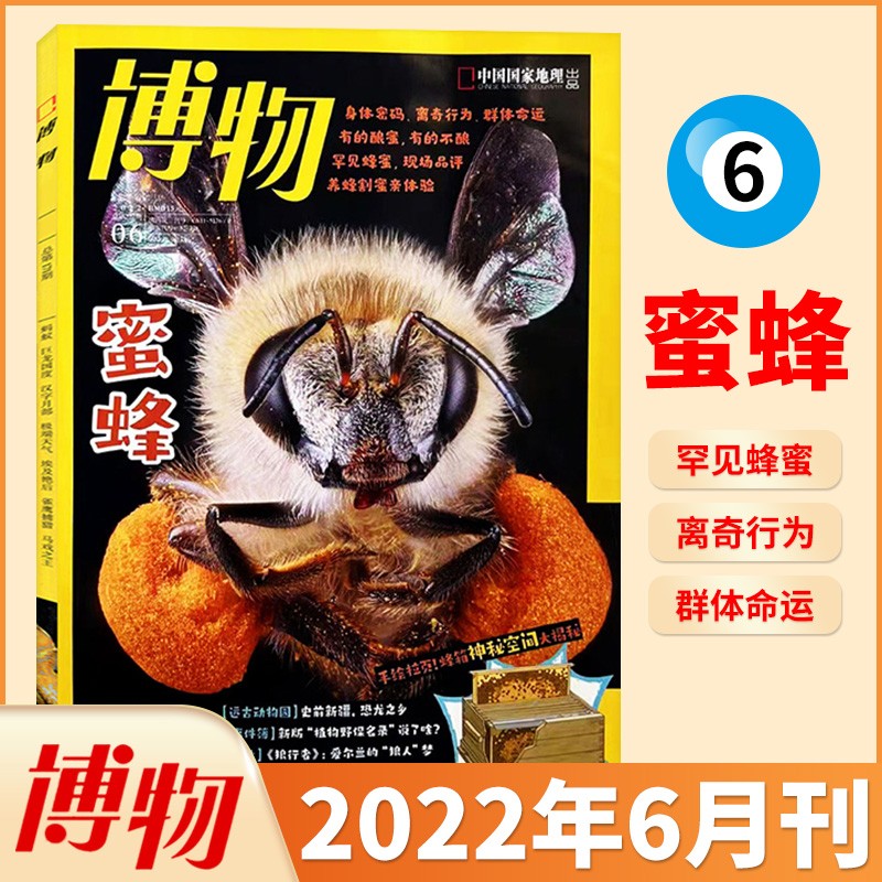 【2月新/半年/全年订阅】博物杂志2023年订阅中国家地理青少年版博物君式科普百科全书万物自然人文地理 2022年6月 蜜蜂