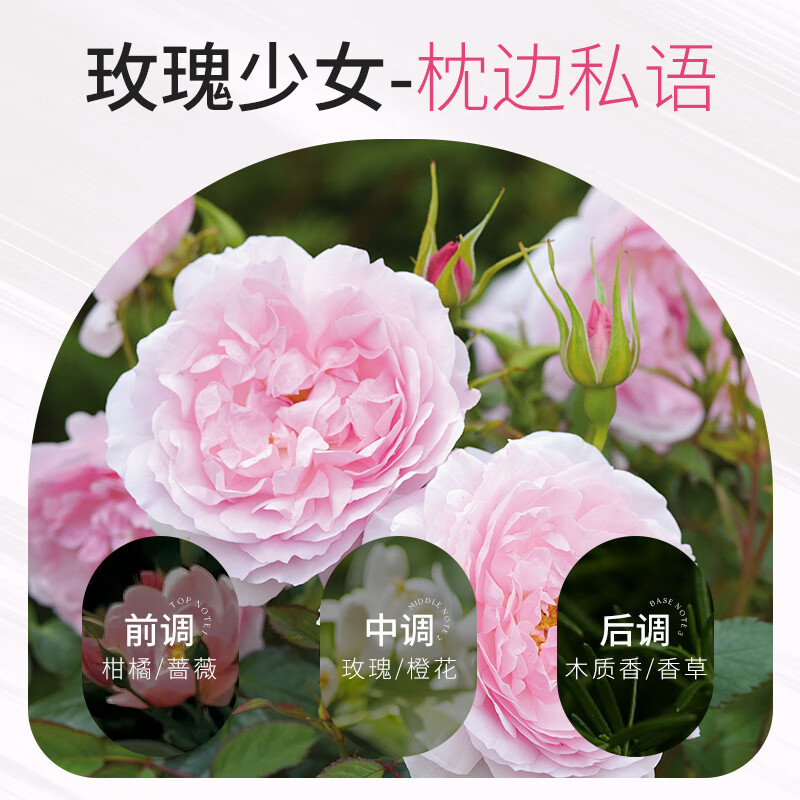 欧丝韵（OSIYUN）香氛固体香膏便携涂抹式女士专用持久留香清新淡雅随身固体香水 枕边私语+事后星河【组合装】