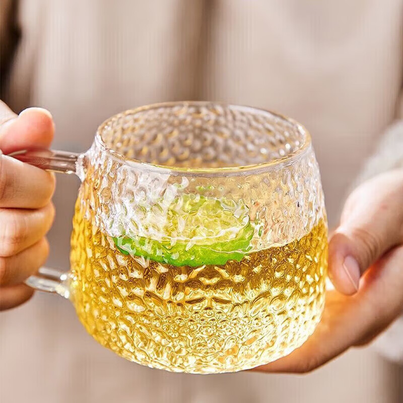柏瑞莎日式锤纹玻璃漱口杯家用喝水杯 锤纹透明把杯1个 280ml