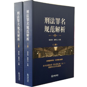 刑法罪名规范解析(上下册)