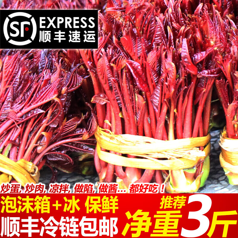 钢馋阳帆顺丰春季头茬香椿芽3斤当季新鲜蔬菜四川特产红油嫩香椿红芽