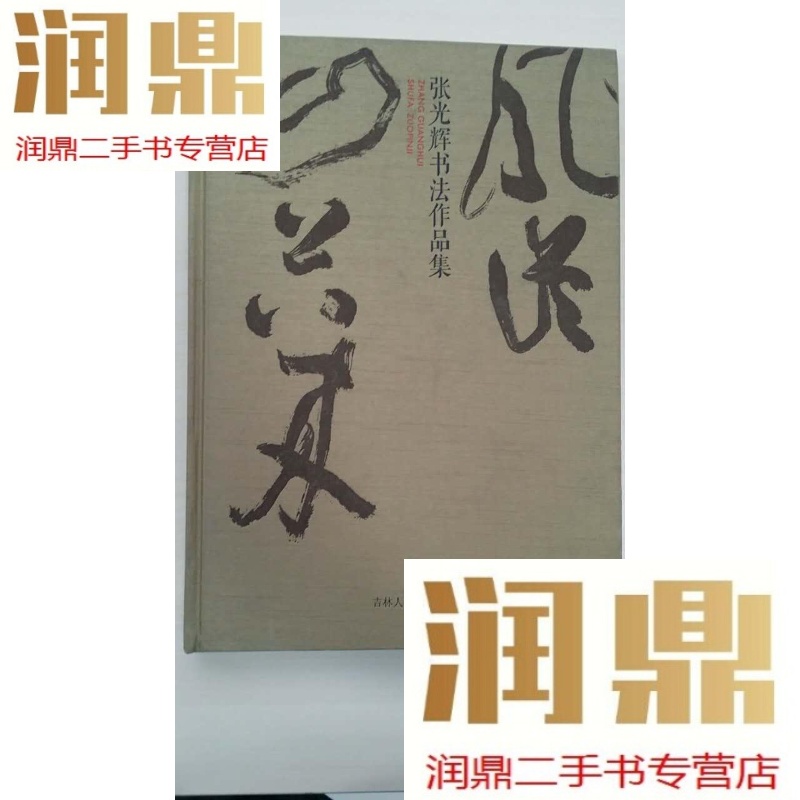 【二手九成新】张光辉书法作品集