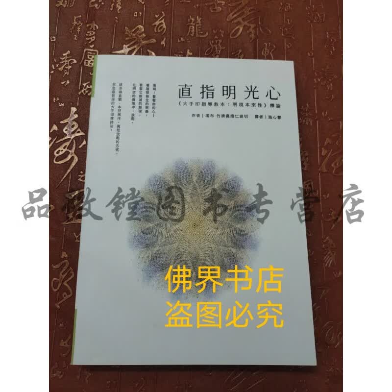 直指明光心世界大手印指导法本 现货速发