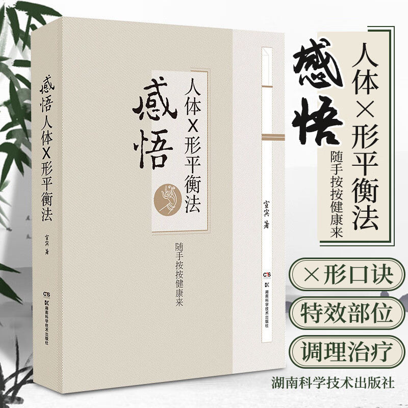 正版感悟人体x形平衡法火柴棒医生周尔晋老师弟子宣宾宣斌中医临床