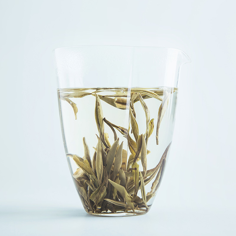 福鼎白茶白牡丹茶饼 2020 白牡丹茶叶礼盒 600g