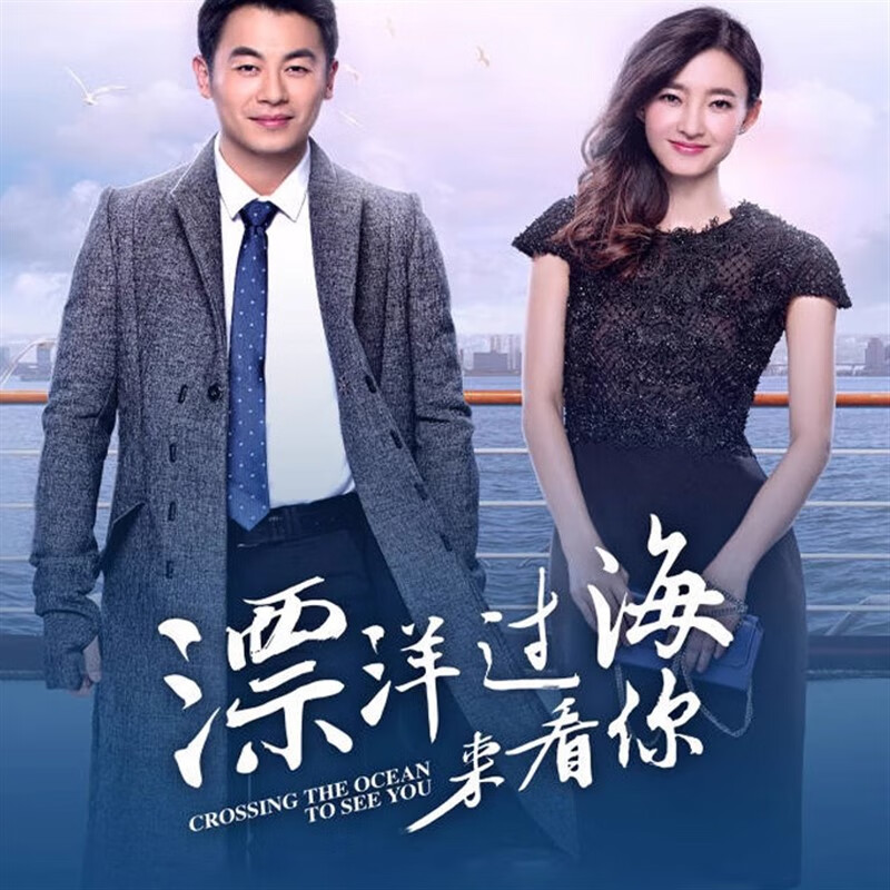 dvd碟片光盘 朱亚文 王丽坤