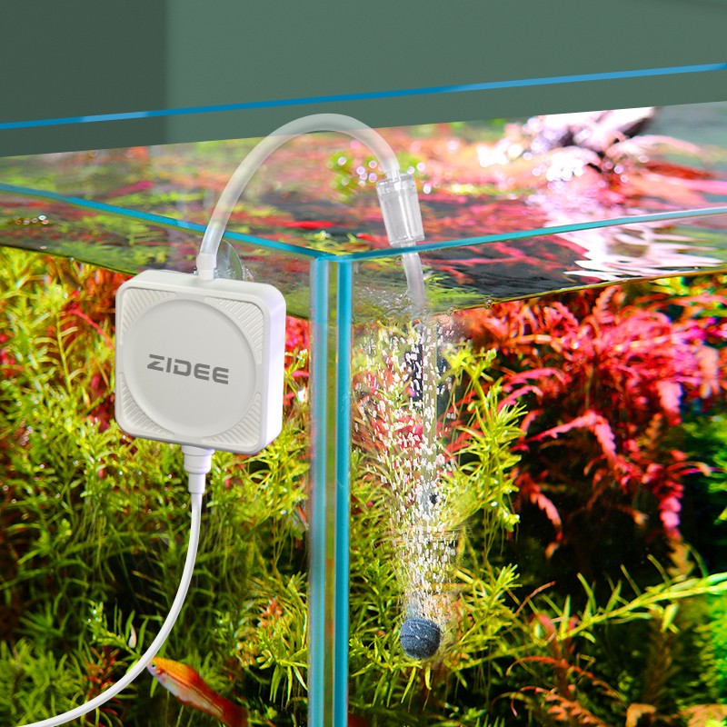 网友感受臻的（Zidee）鱼缸氧气泵怎么样好不好，看看一周感受分享