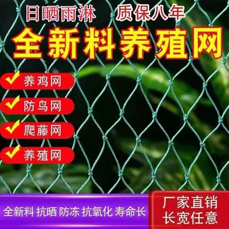 100米家禽養(yǎng)雞養(yǎng)鴨網(wǎng)攔雞網(wǎng)養(yǎng)殖網(wǎng)菜園網(wǎng)護(hù)欄網(wǎng)圍防雞網(wǎng)尼龍網(wǎng) 養(yǎng)殖網(wǎng)【1.5米寬30長】