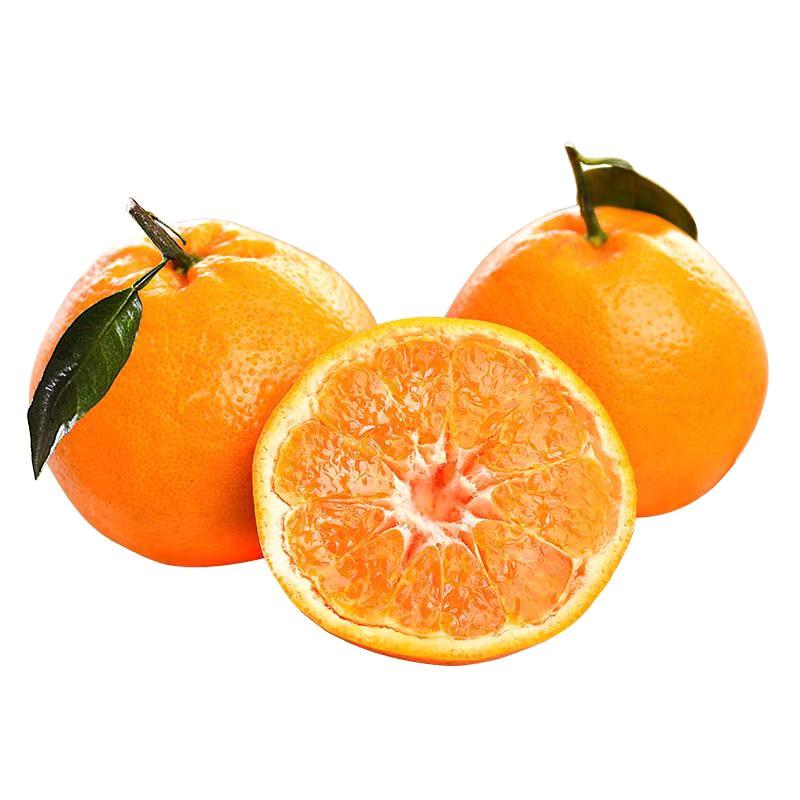 uncle lemon四川春见耙耙柑当季新鲜水果丑橘丑柑整箱高山种植产地现摘现发 9斤 大果【真心甜甜】新鲜现摘丨个头均匀