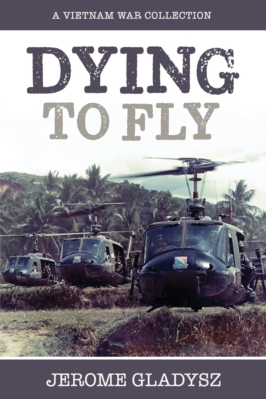 【预售 按需印刷】dying to fly