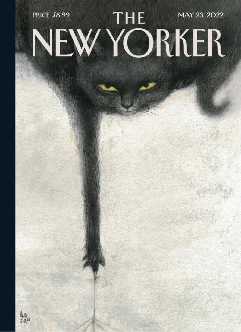 2022年5月23日美国杂志英文杂志纽约客 the new yorker