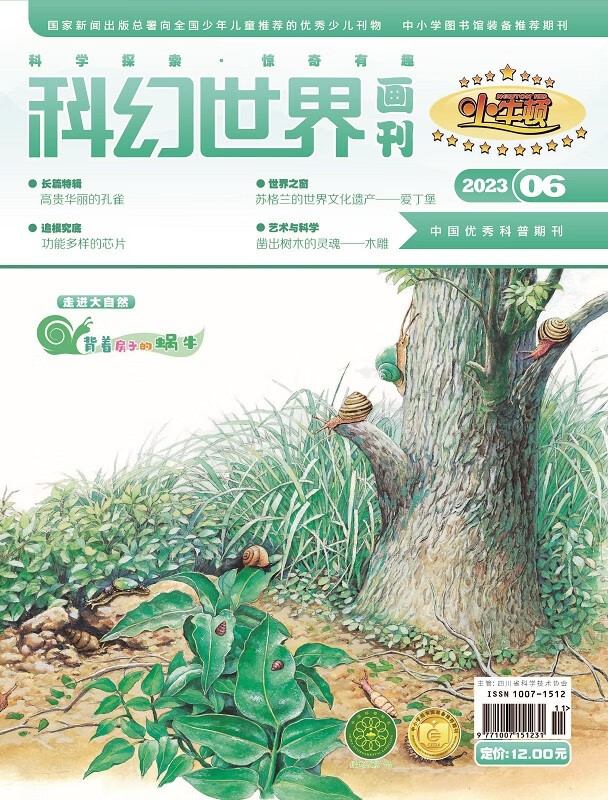 《科幻世界画刊》（小牛顿）2023年6期