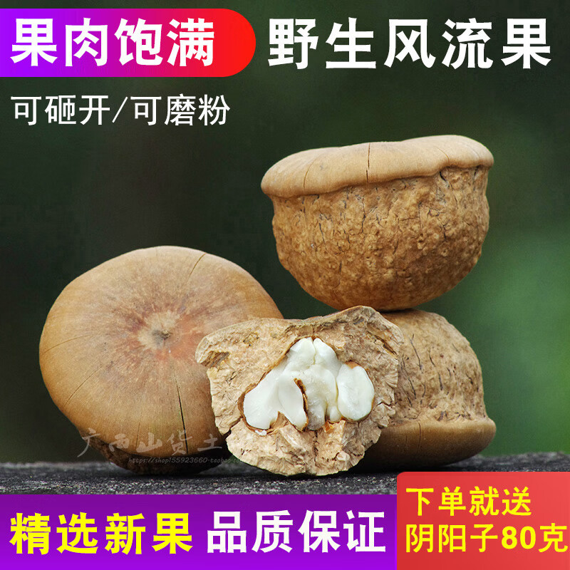 风流果仿精选果天竺粒广西特级果厚鳞柯500g泡酒壮家阴阳果