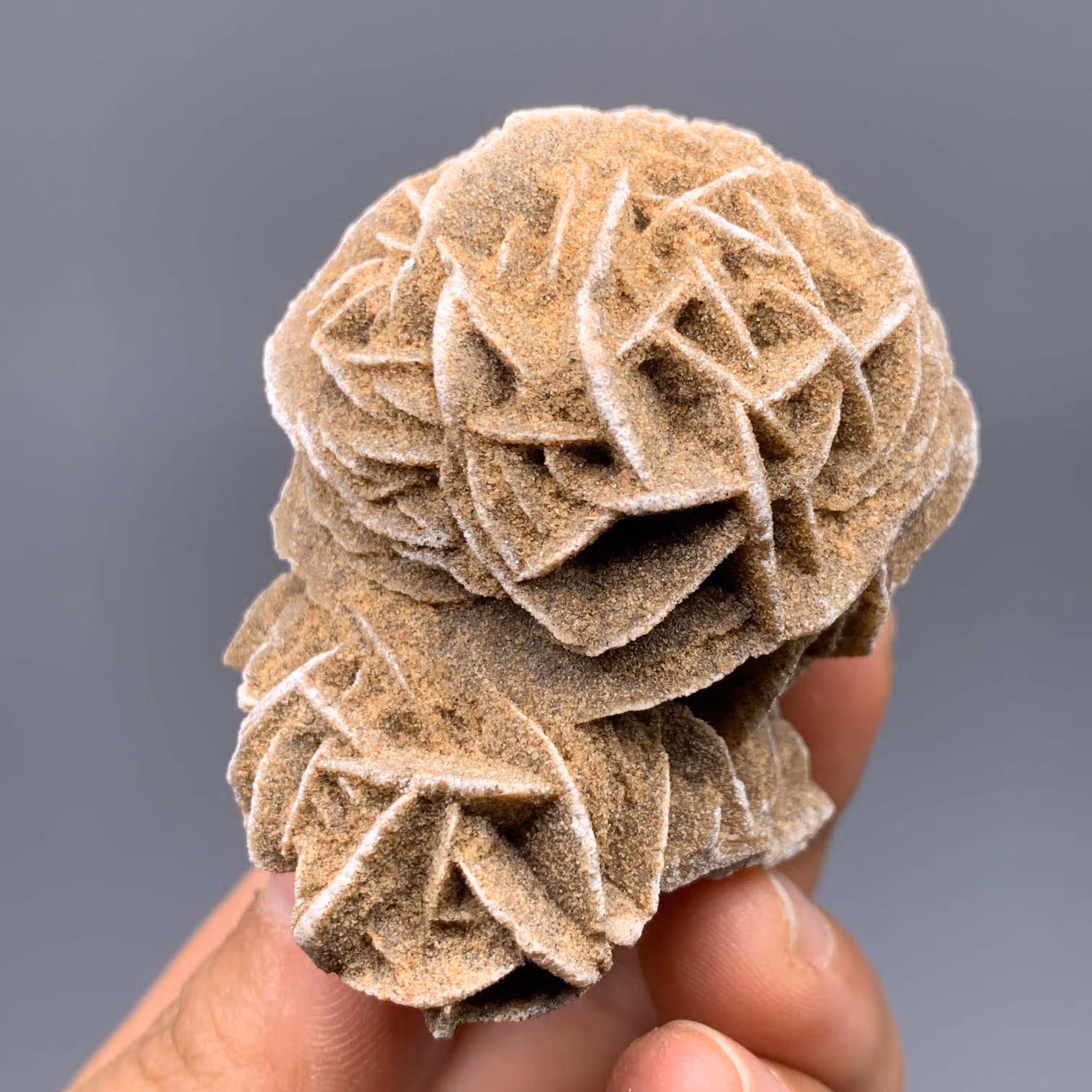 淑塔可可沙漠玫瑰矿物晶体矿石标本原石宝石奇石摆件观赏石收藏品原石