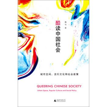 酷读中国社会:城市空间，流行文化和社会政策 魏伟 著