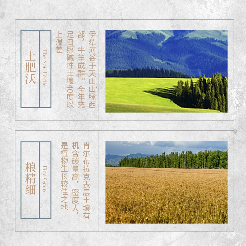 伊力特白酒整箱批发年货送礼新疆特产42度绵柔型伊犁扁瓶酒送礼礼盒 42度 500mL 1瓶 扁瓶特