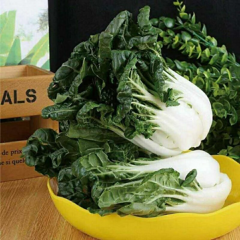 优选黑白菜种子 原装包装1包(1500粒)