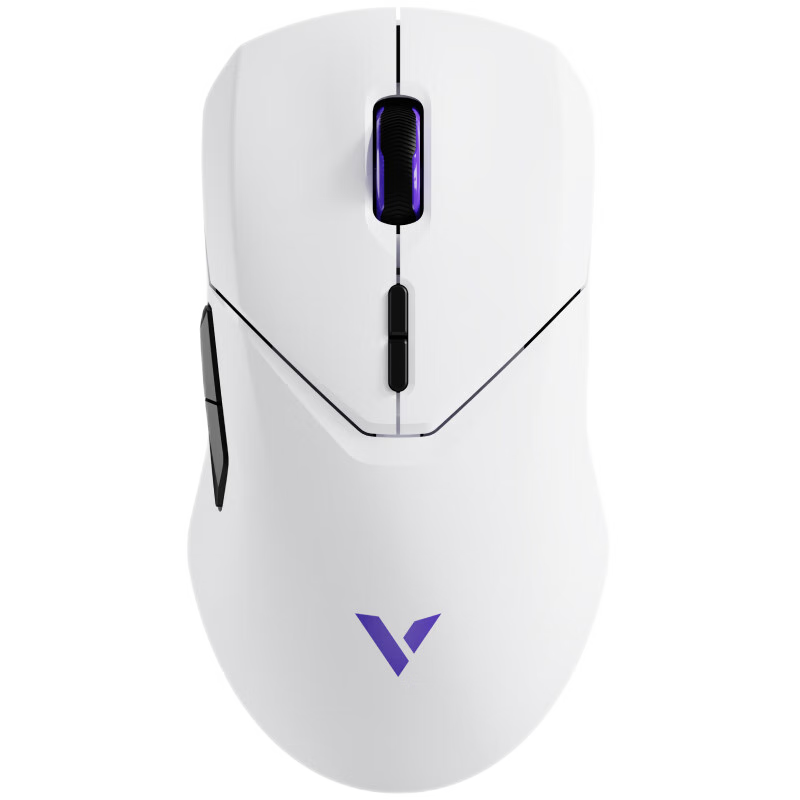 雷柏（Rapoo）VT9PRO双高速版 中大手无线/有线双模游戏鼠标 轻量化设计原相3398引擎支持4K+8K回报率 白紫