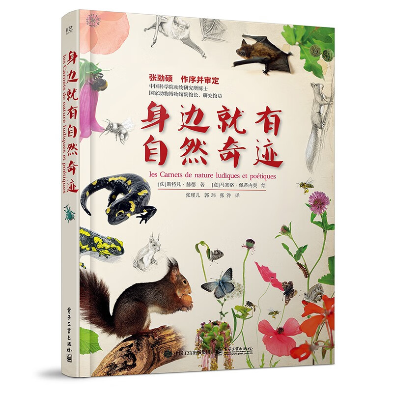 身边就有自然奇迹
