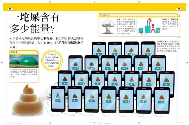 DK这不可能是真的 黏糊糊+臭烘烘（套装共2册）开学必备 课外读物详情图
