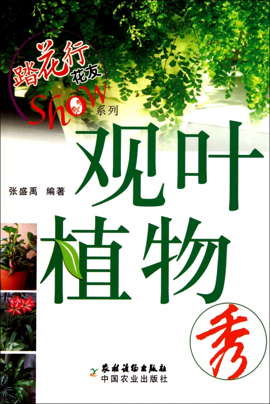 观叶植物秀/踏花行花友Show系列