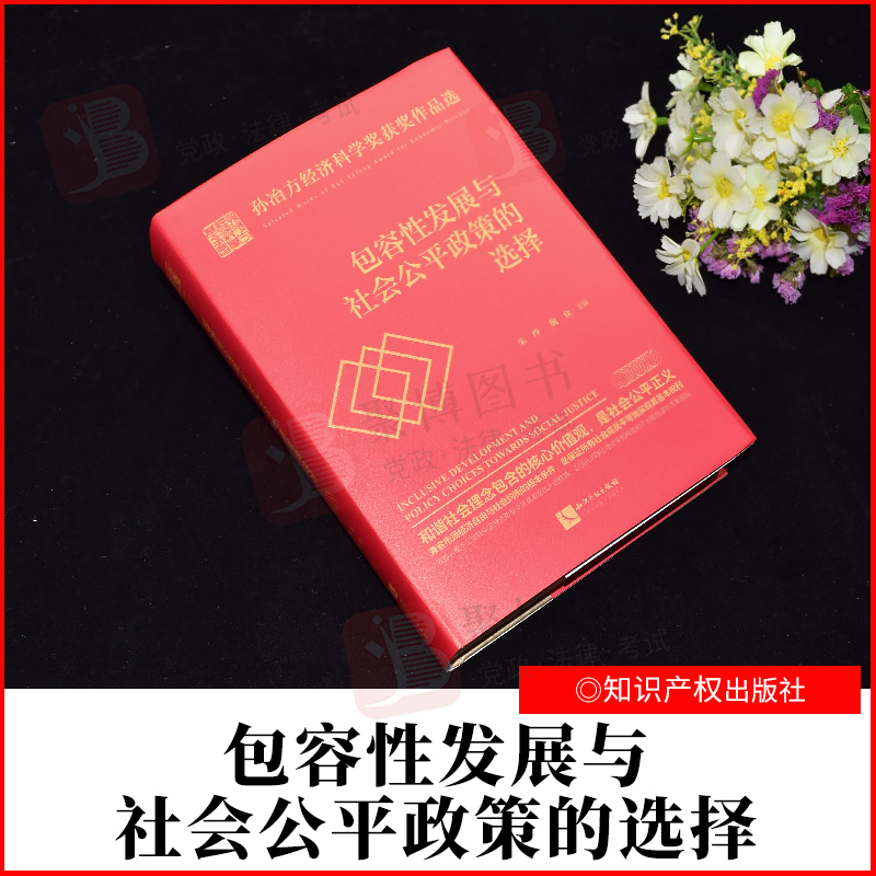 2022新品 包容性发展与社会公平政策的选择 朱玲 魏众 主编 知识产权出版社 9787513068628 正版书籍