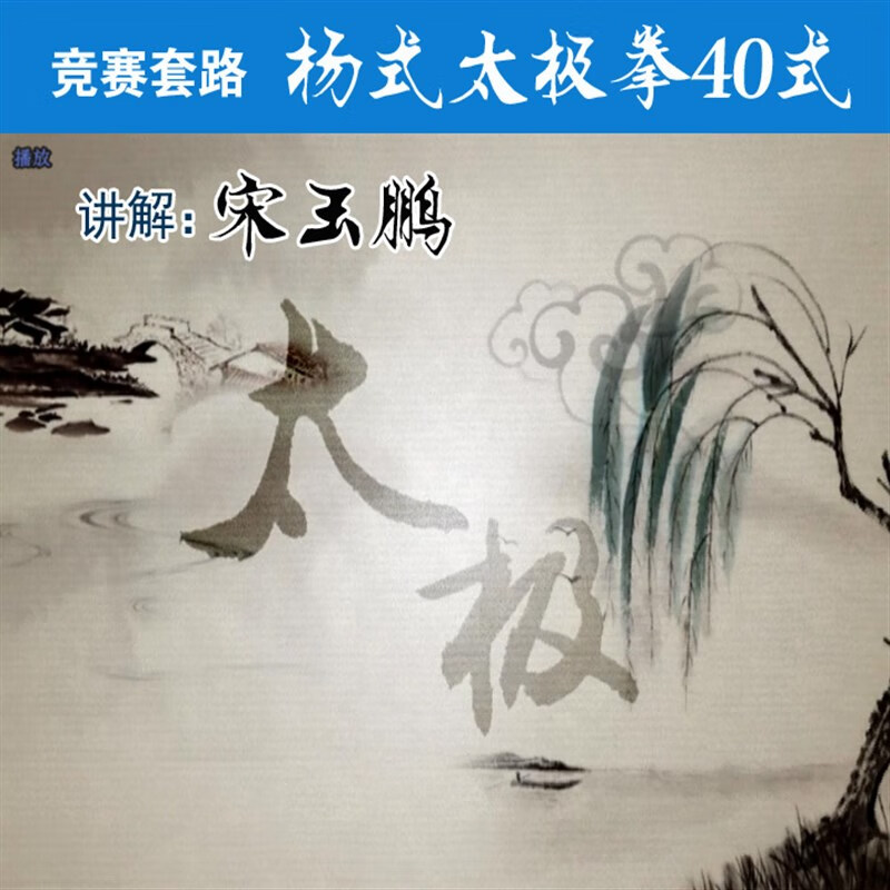 杨式太极拳四十式u盘杨氏竞赛套路40式视频教材dvd碟非下载 dvd光盘版