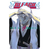 《境界》-死神20 （日）久保带人绘,梁晓岩 连环画出版社 9787505611528