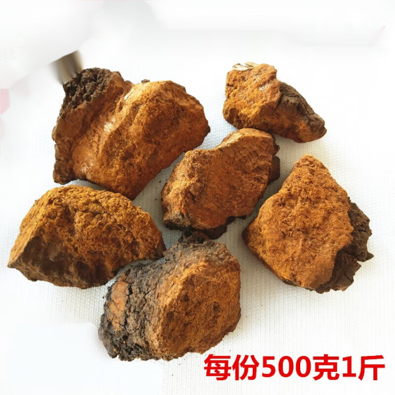 桦树茸500克 天然野外生长桦褐孔菌白桦茸桦树泪