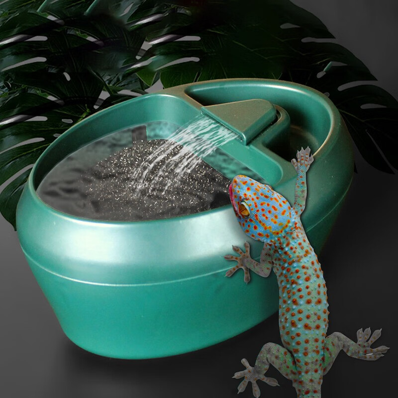 共度(gong du)乌龟蜥蜴活水自动饮水机爬宠爬虫变色龙循环喂水泉流