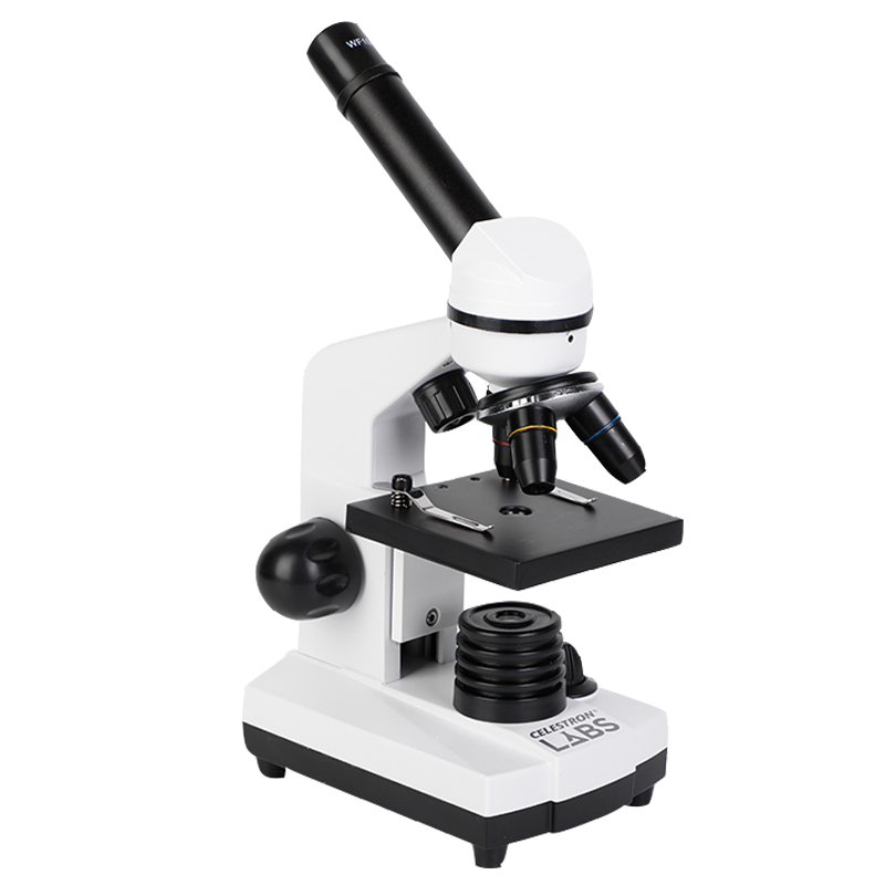 ���ӵµ¹���΢�� ѧ�����г����п�Сѧ����ͯ����1600����Я����ʵ�� ����+�����ѧ�걾50Ƭ