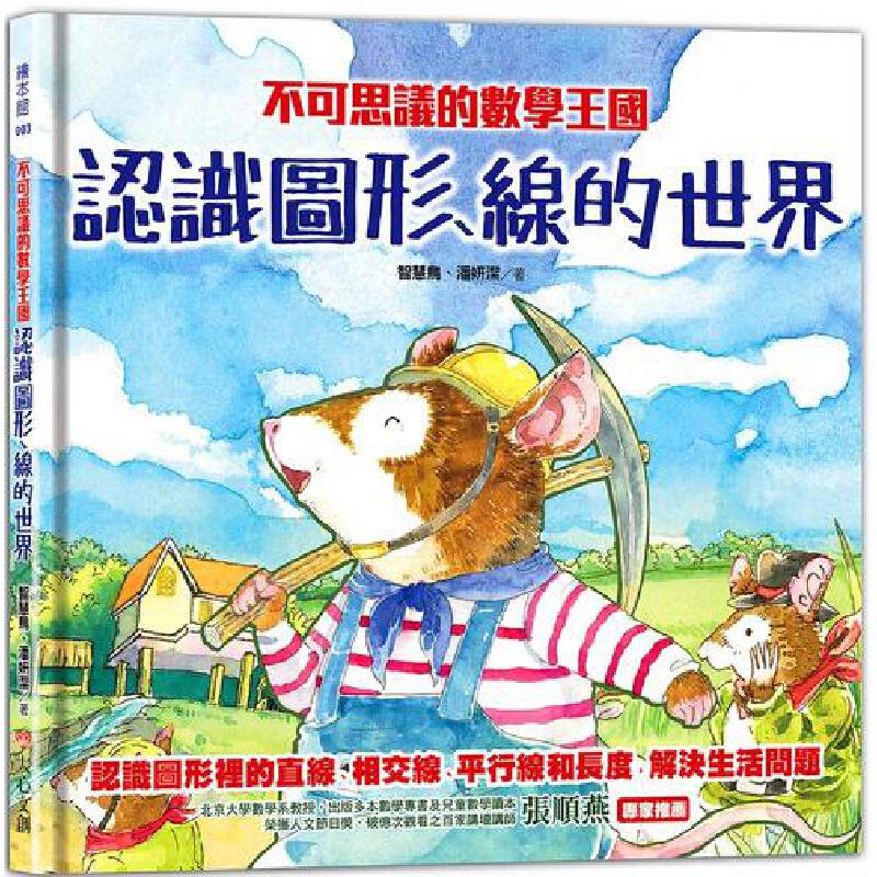 预售 不可思议的数学王国：认识图形、线的世界 大心文创 智慧鸟