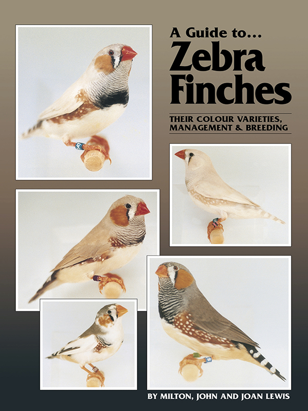 guide to zebra finches, their colour varieties, management and