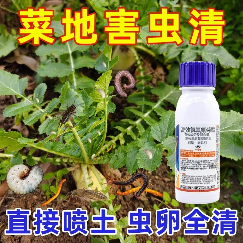 蔬菜杀虫剂高效氯氟氰菊酯青蚜虫食心虫地上下害虫专用药果树农药
