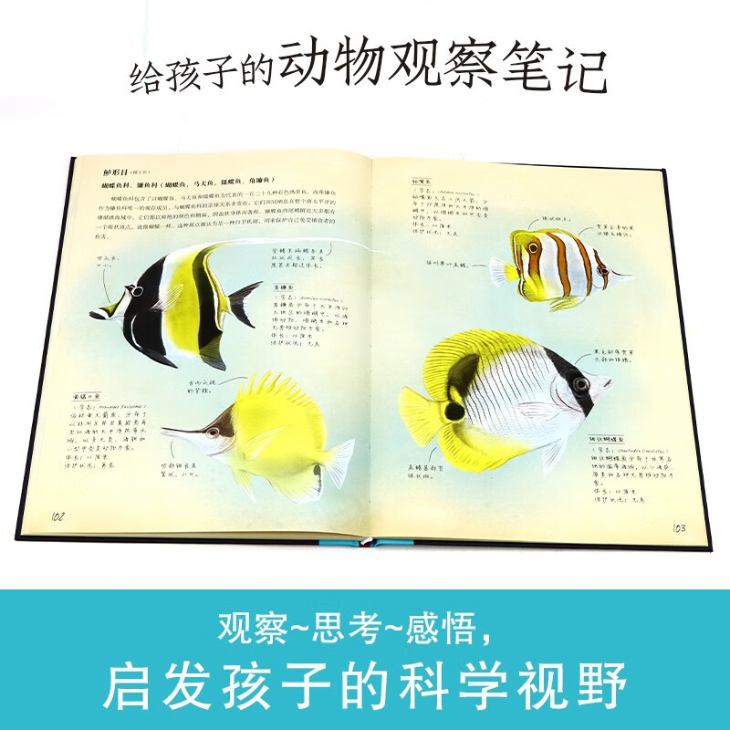 动物笔记：神秘的海洋动物详情图