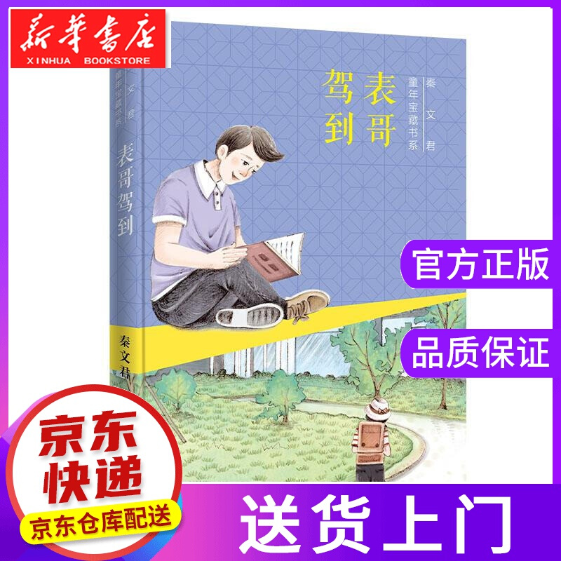 【官方正版】【正版图书】表哥驾到 秦文君 湖南少年儿童出版社 儿童出版社