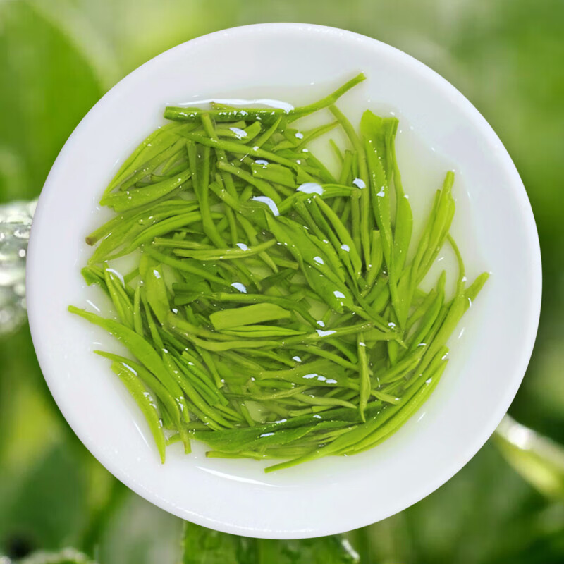 五云村信阳毛尖2020新茶毛峰云雾绿茶茶叶特级嫩芽散装礼盒茶250g