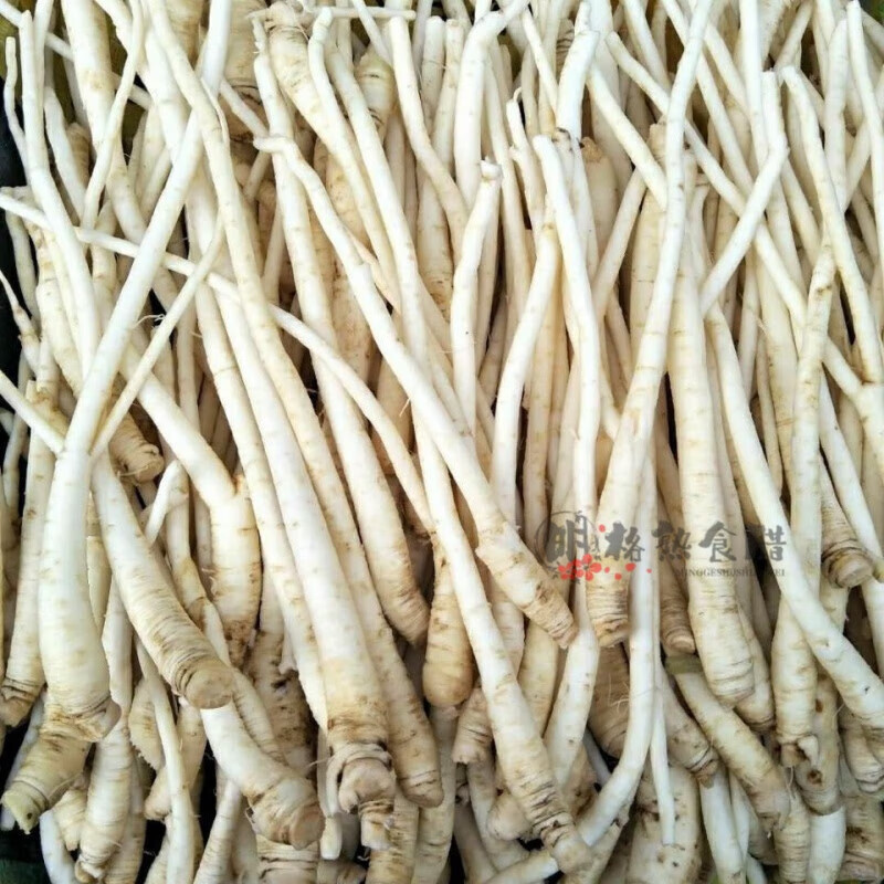 云南德宏茴香根 煲汤炖排骨新鲜茴香 一斤