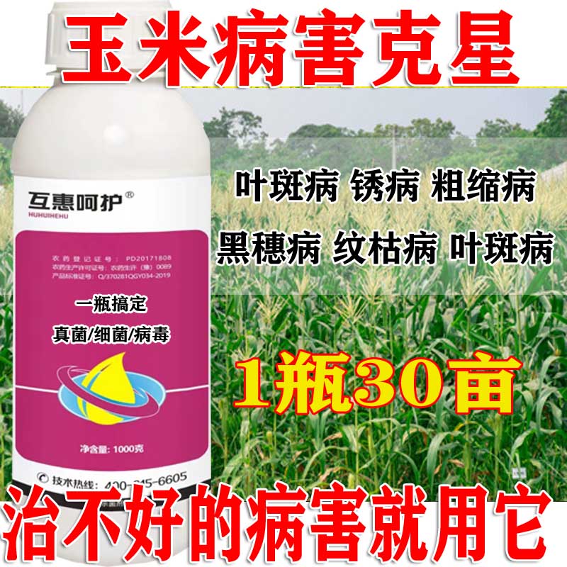 玉米杀菌剂玉米病全管玉米治病药叶斑病纹枯病粗缩病锈病茎腐黑穗