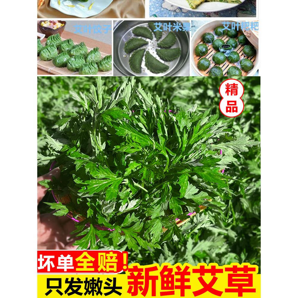 艾草新鲜蔬菜当季食用农家生艾草叶艾蒿糍粑艾粄青团嫩艾叶田 250g